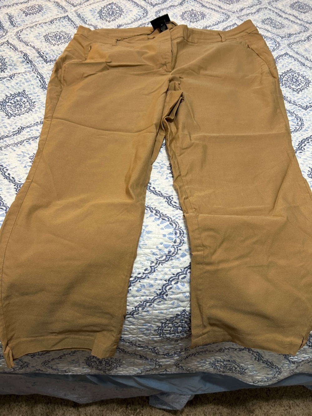 Lane Bryant  Tan Dress Pants